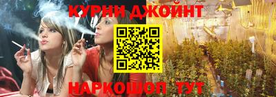 МДПВ Ливны