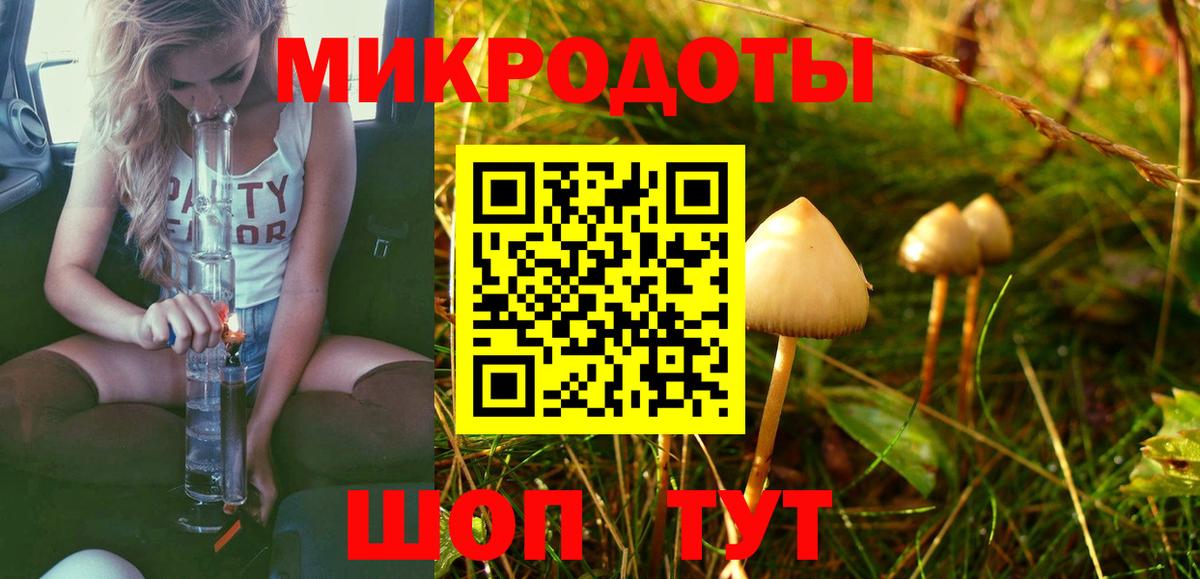 Галлюциногенные грибы Cubensis  Вход с VPN  Узловая 